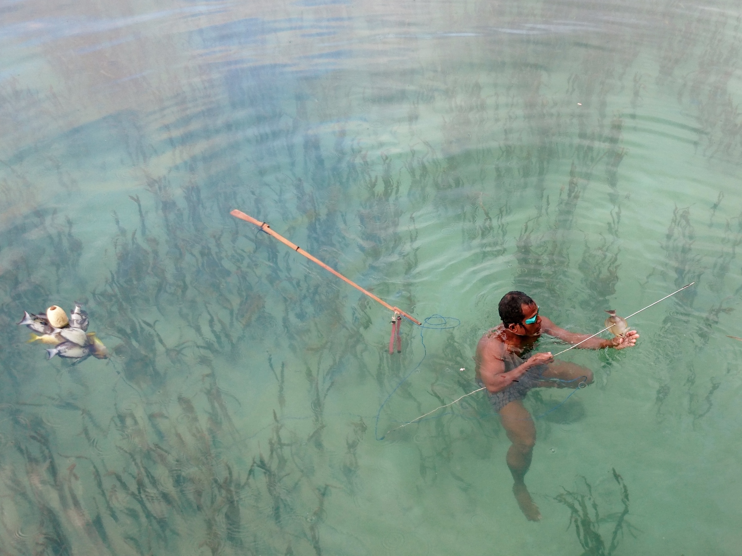 Indigenous fisher spear fishing in Indonesia